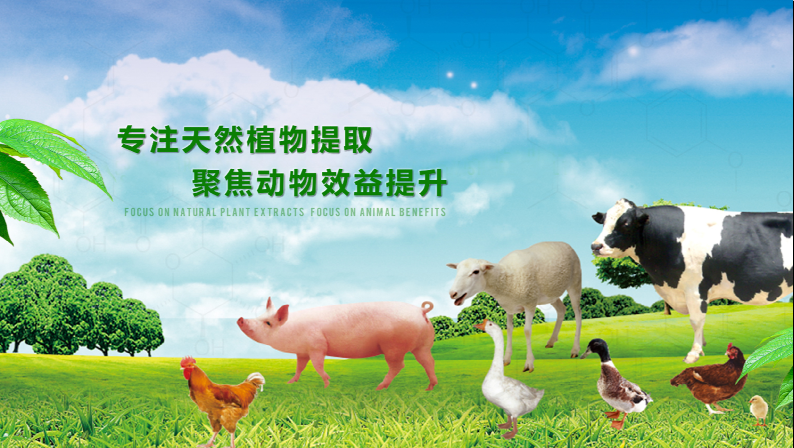 恭喜湖北九靈草生物科技有限公司新網站今天正式發布上線